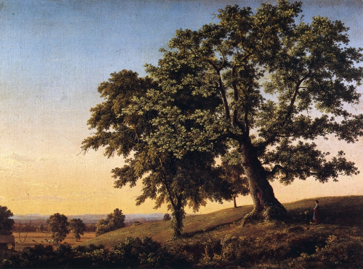 The Charter Oak, vintage artwork by Frederic Edwin Church, 12x8" (A4) Poster