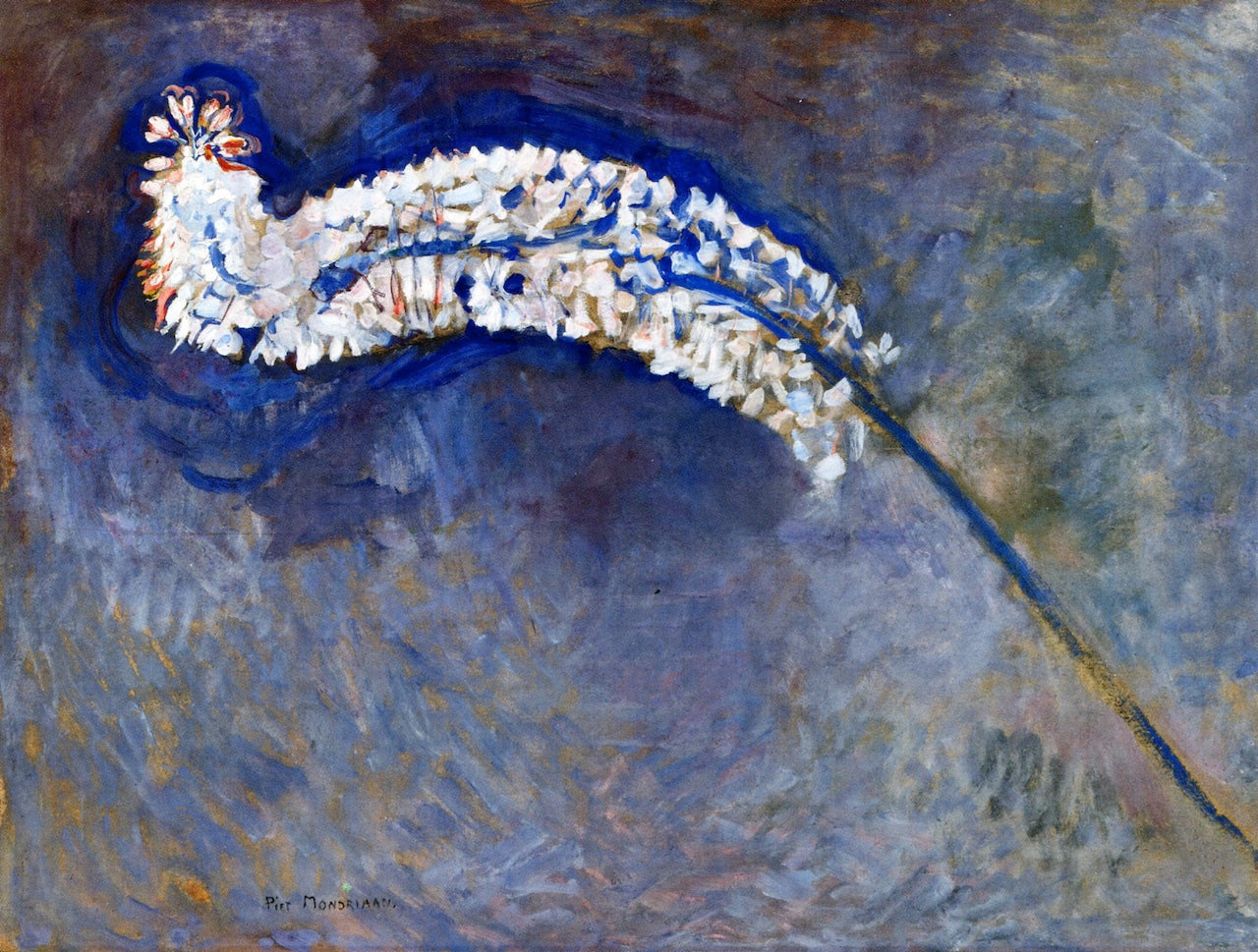 Foxtail Lily by Piet Mondriaan,16x12(A3) Poster
