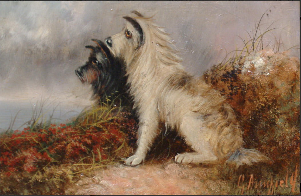 Two Terriers in a Landscape, vintage artwork by Follower of George Armfield, A3 (16x12") Poster Print