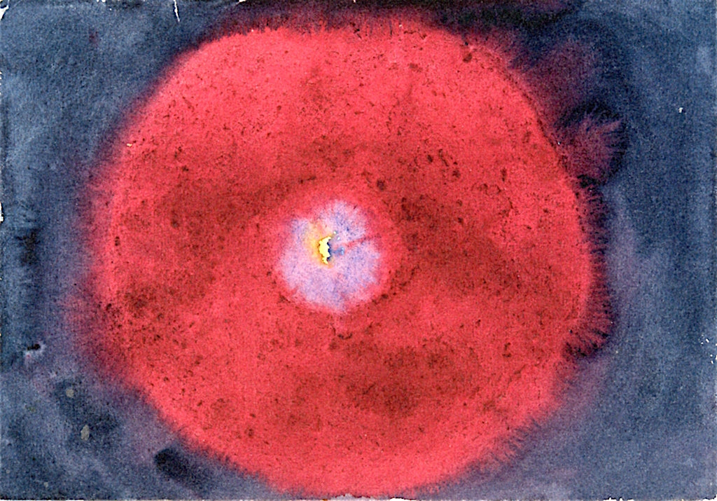On the Viewing of Flowers and Trees: Birch by Hilma af Klint,A3(16x12")Poster
