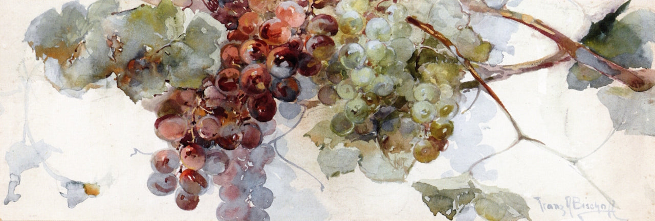 Grapes on a Vine, vintage artwork by Franz Bischoff, 12x8" (A4) Poster
