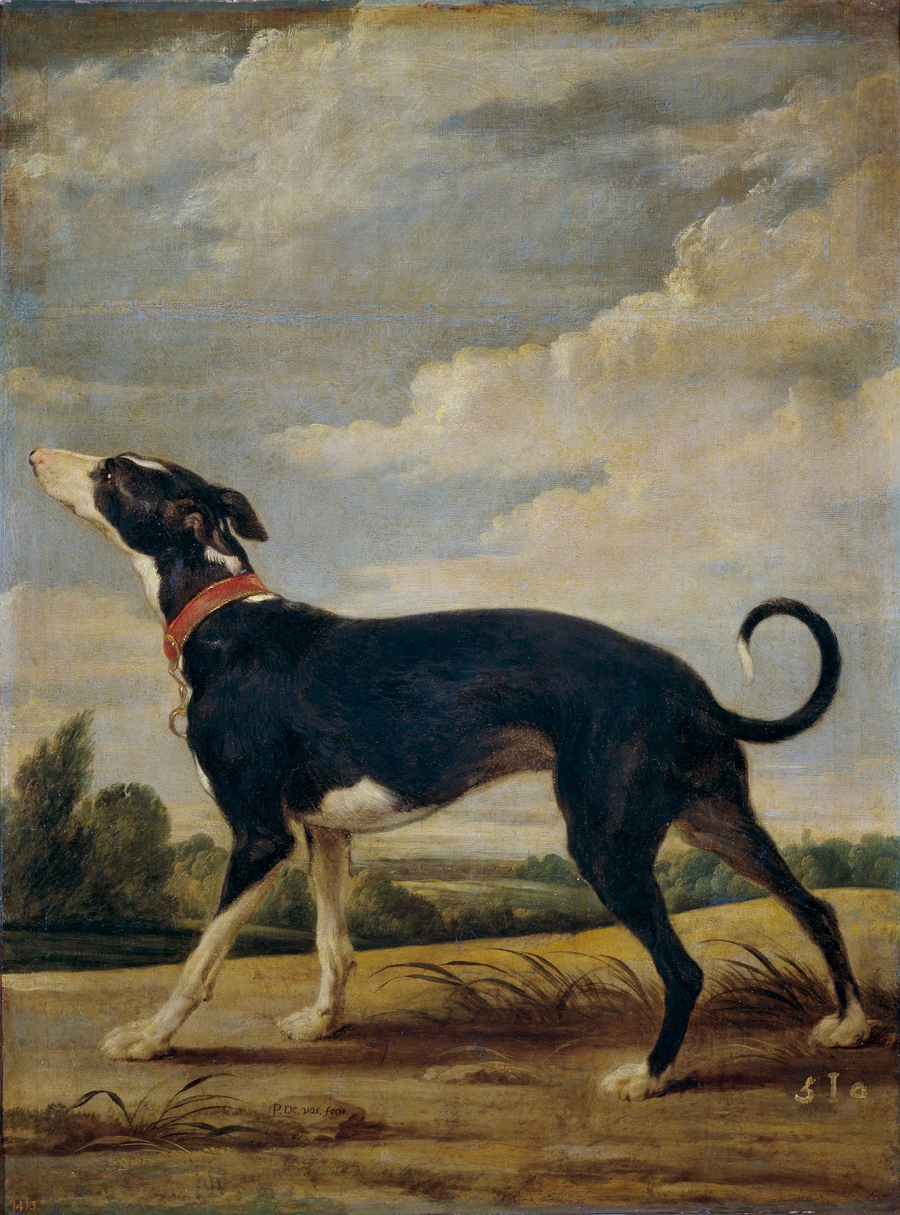 A Greyhound, vintage artwork by Paul de Vos, 12x8" (A4) Poster