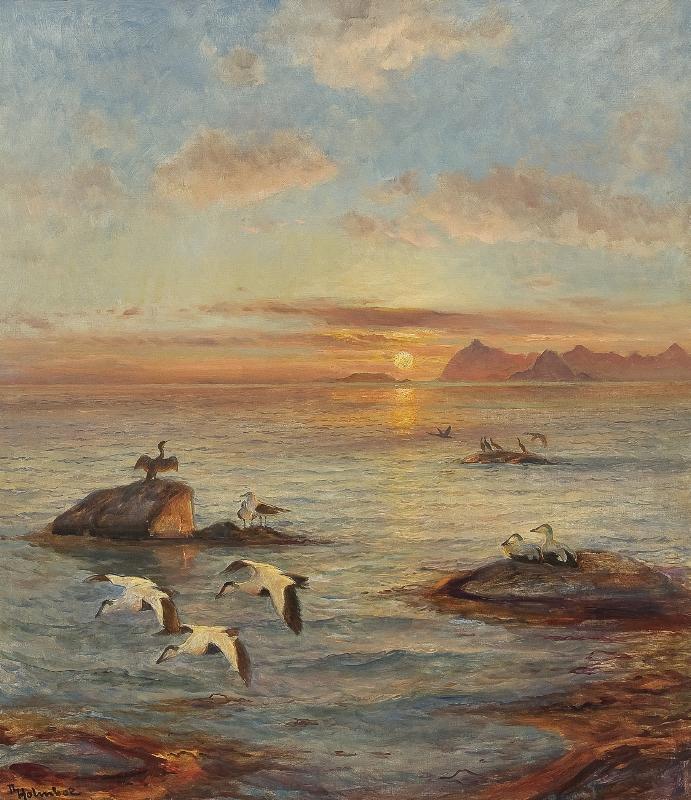 Eider Ducks in the Midnight Sun, vintage artwork by Thorolf Holmboe, 12x8" (A4) Poster