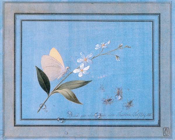 Flower, Butterfly and Flies, vintage artwork by Fedor Tolstoy, 12x8" (A4) Poster