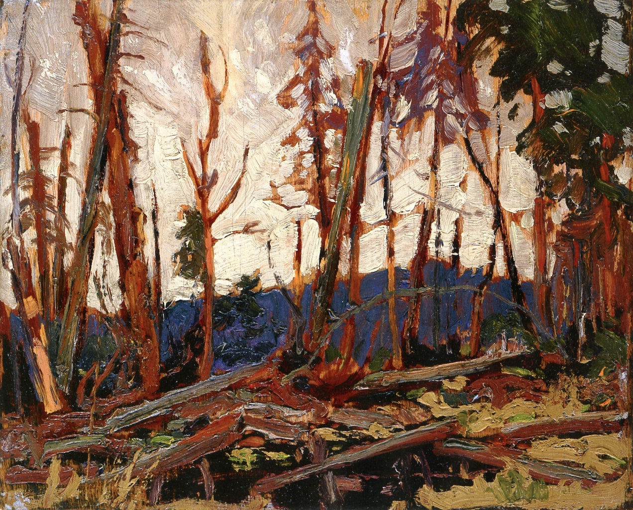 Burnt Country, Evening, vintage artwork by Tom Thomson, 12x8" (A4) Poster