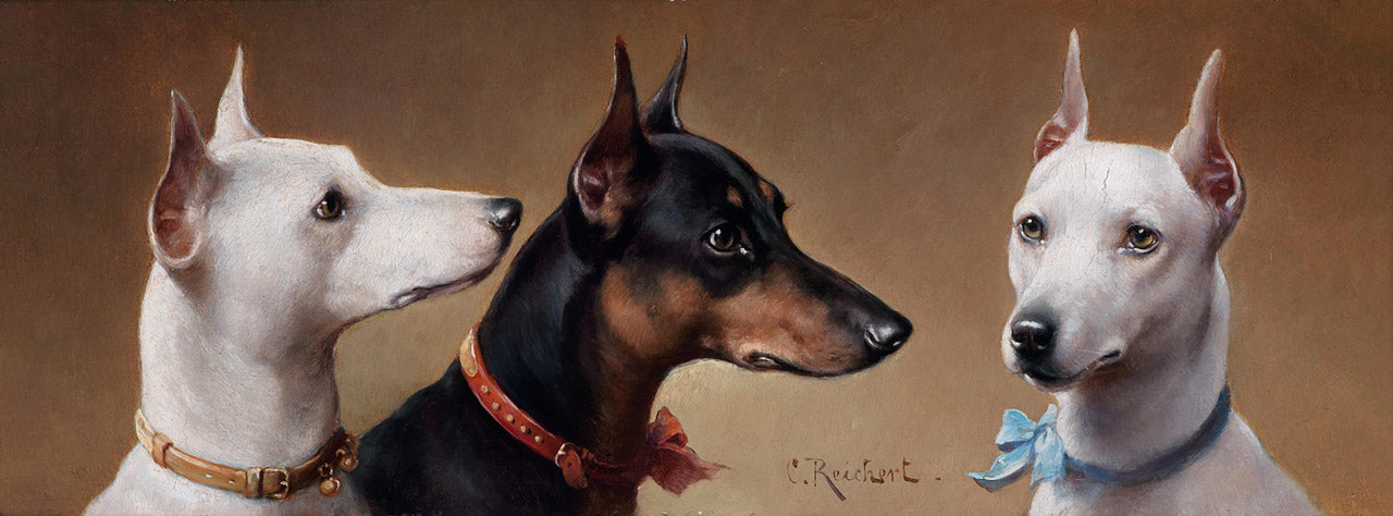 Lovely dogs, vintage artwork by Carl Reichert, 12x8" (A4) Poster