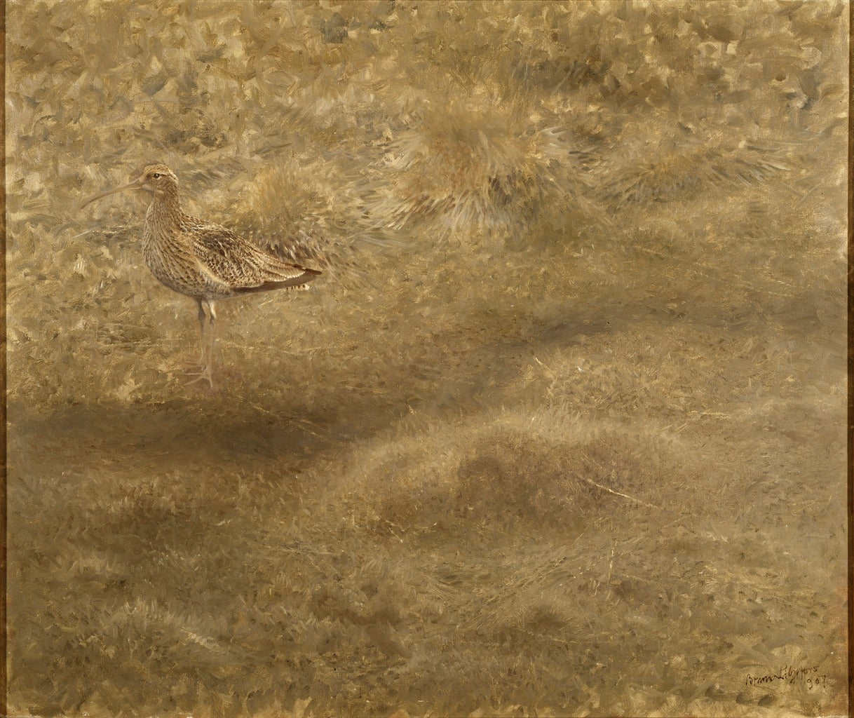Curlew by Bruno Liljefors,A3(16x12")Poster