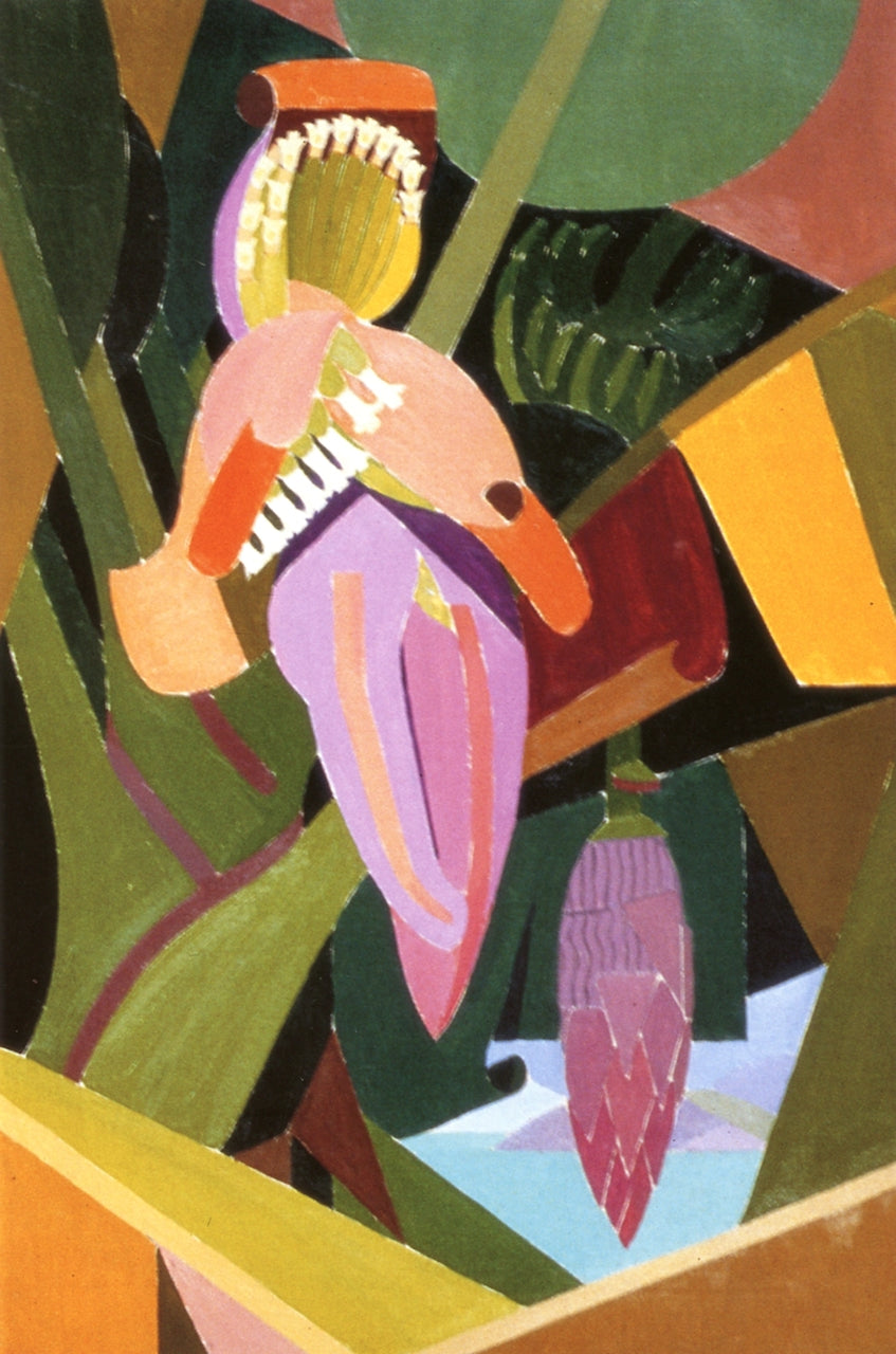 Banana, Bermuda by Edwin Ambrose Webster,A3(16x12")Poster