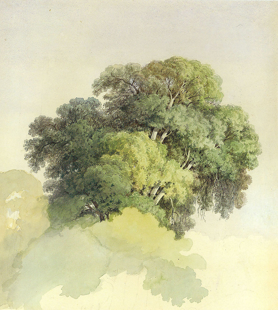 The crowns of the trees, vintage artwork by Feodor Vasilyev, 12x8" (A4) Poster
