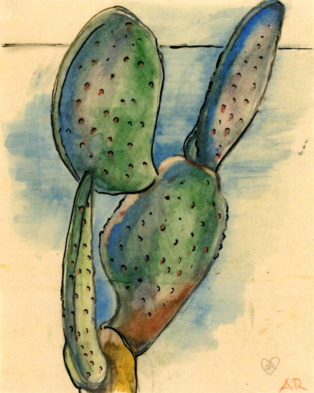 Opuntia Shoot, vintage artwork by Anita Ree, 12x8" (A4) Poster