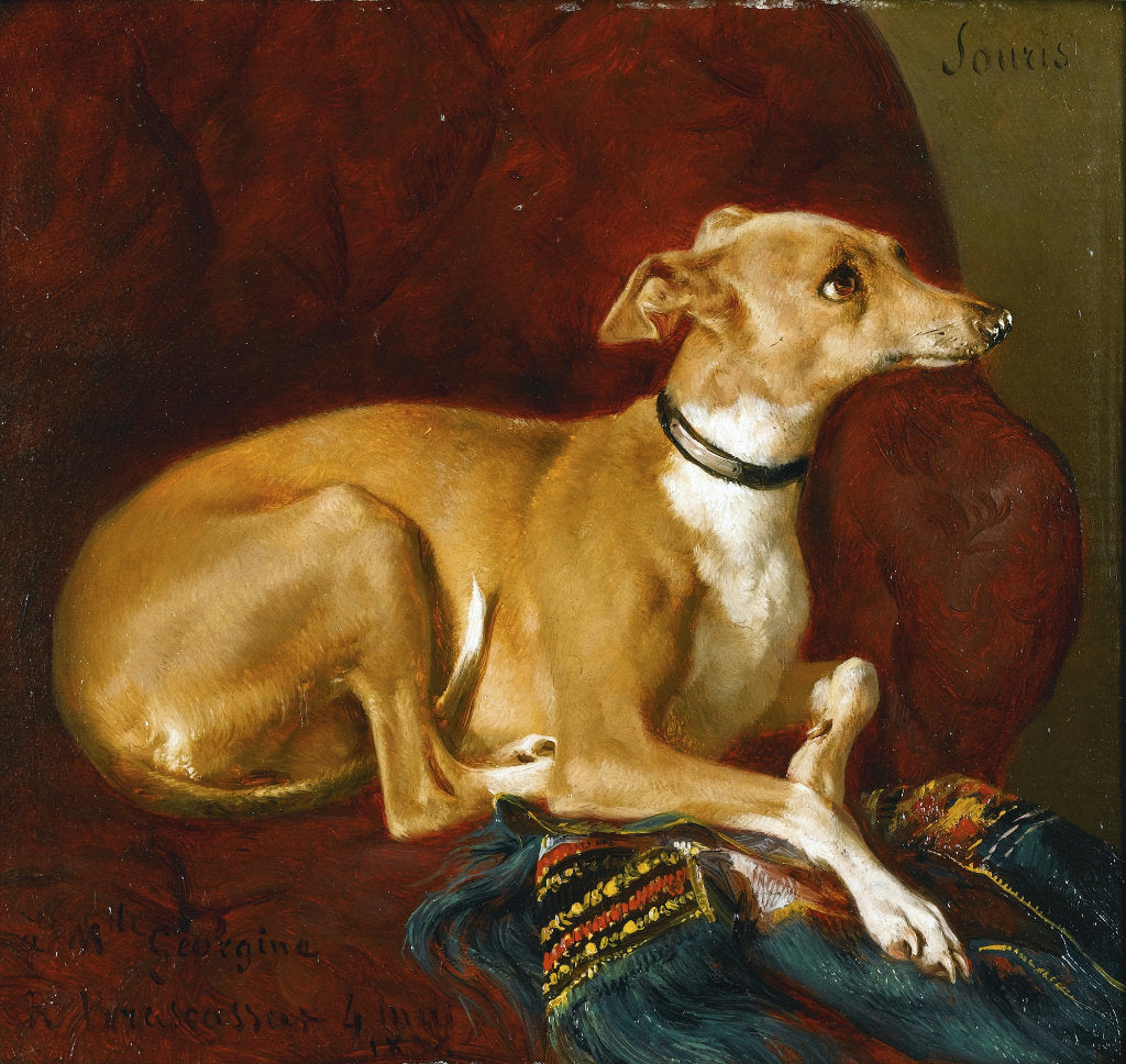 A Greyhound Resting on a Chair, vintage artwork by Jacques-Raymond Brascassat, A3 (16x12") Poster Print