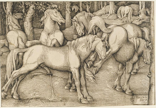 Ejaculating Stallion Rejected by  Mare, vintage artwork by Hans Baldung, A3 (16x12") Poster Print