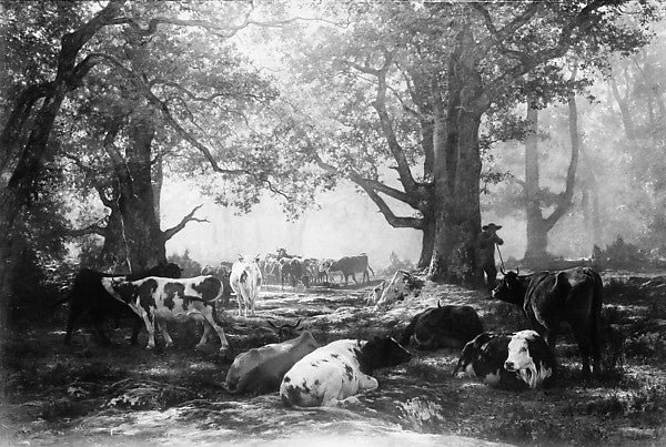 Auguste-François Bonheur:Environs of Fontainebleau: Woodland-16x12"(A3) Poster