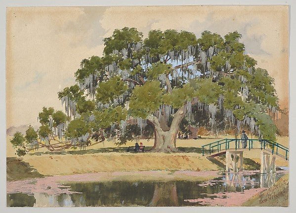 F. C. Dwyer:The Washington Live Oak New Orleans , vintage artwork, 16x12"(A3) Poster Print