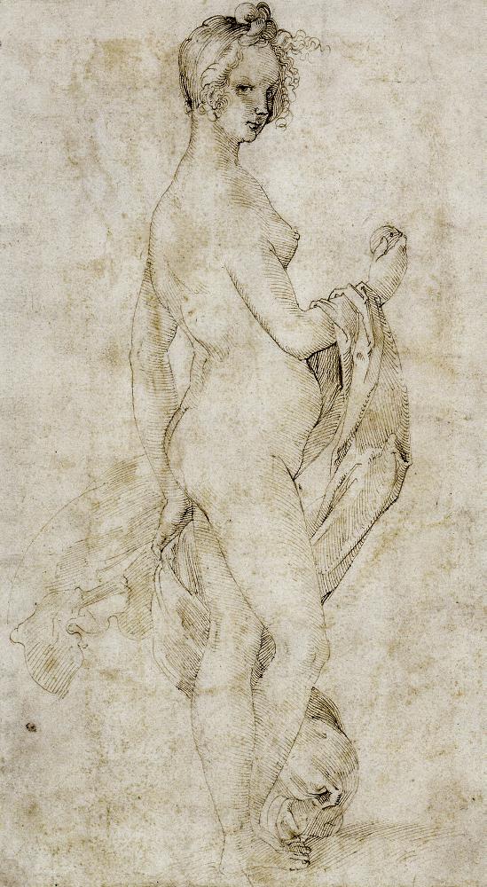 Female Nude with Drapery, Holding an Apple, vintage artwork by Hans Baldung, A3 (16x12") Poster Print