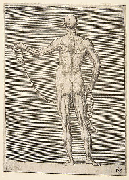 Flayed man seen from behind holding a rope c1531–76-Giulio Bo, vintage art, A3 (16x12") Poster Print