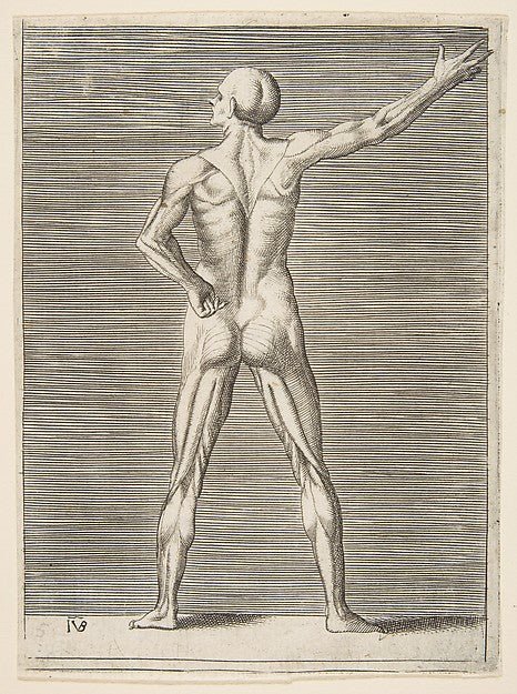 Flayed man seen from the back his right arm extended c1531–76, vintage art, A3 (16x12") Poster Print