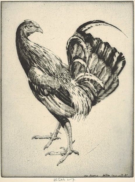 Game Cock 1931-Henry Emerson Tuttle , vintage art, A3 (16x12") Poster Print