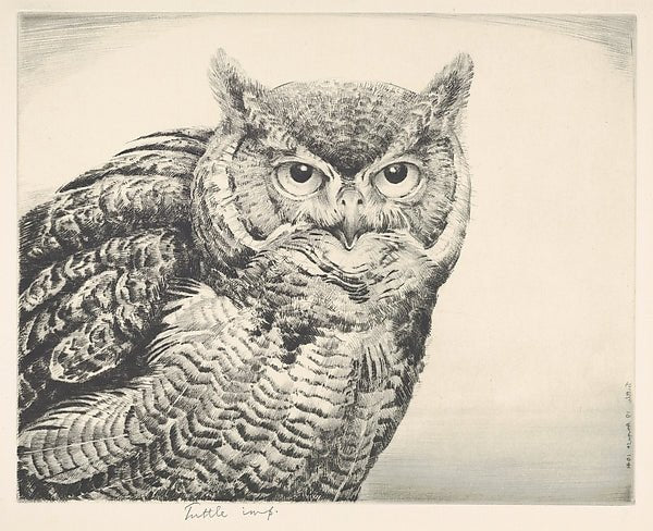 Great Horned Owl 1941-Henry Emerson Tuttle , vintage art, A3 (16x12") Poster Print