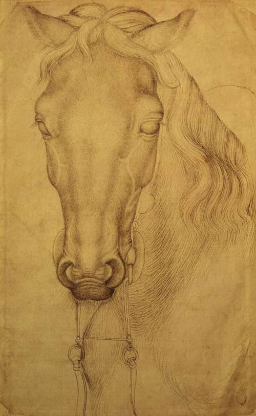 Head of Horse, vintage artwork by Pisanello, A3 (16x12") Poster Print