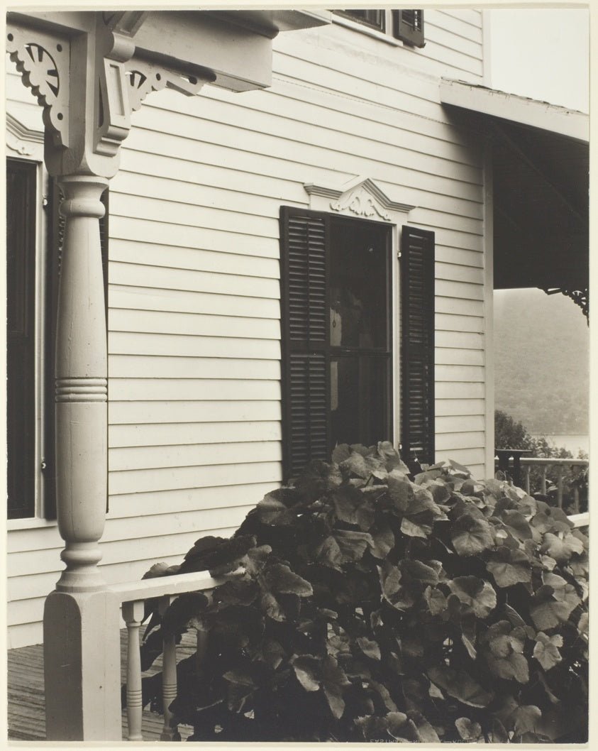 House and Grape Leaves by Alfred Stieglitz, 23x16"( A2 size) Poster Print