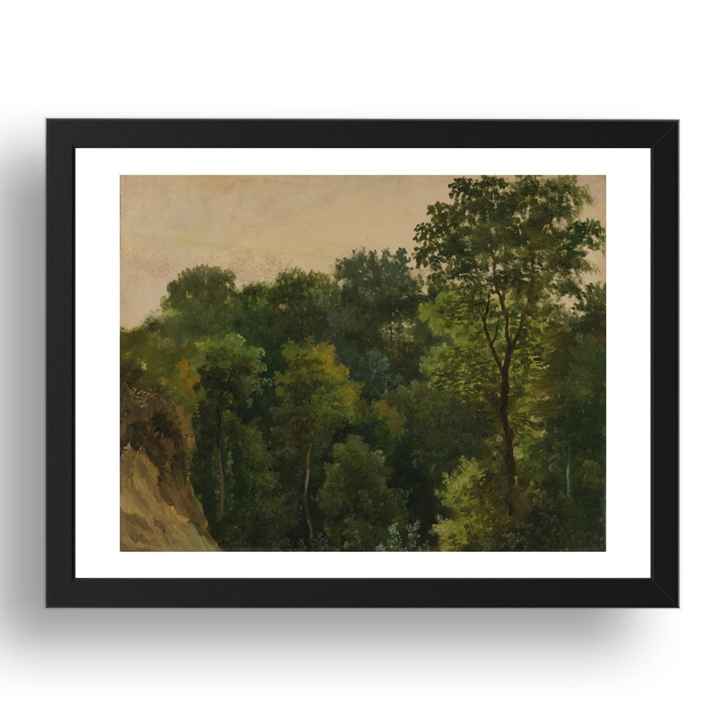 Jean Michel Cels: Tree study, Poster in 17x13"(A3) Frame