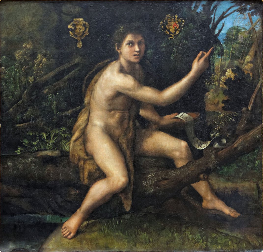 John the Baptist in the Wilderness, vintage artwork by Raphael, A3 (16x12") Poster Print