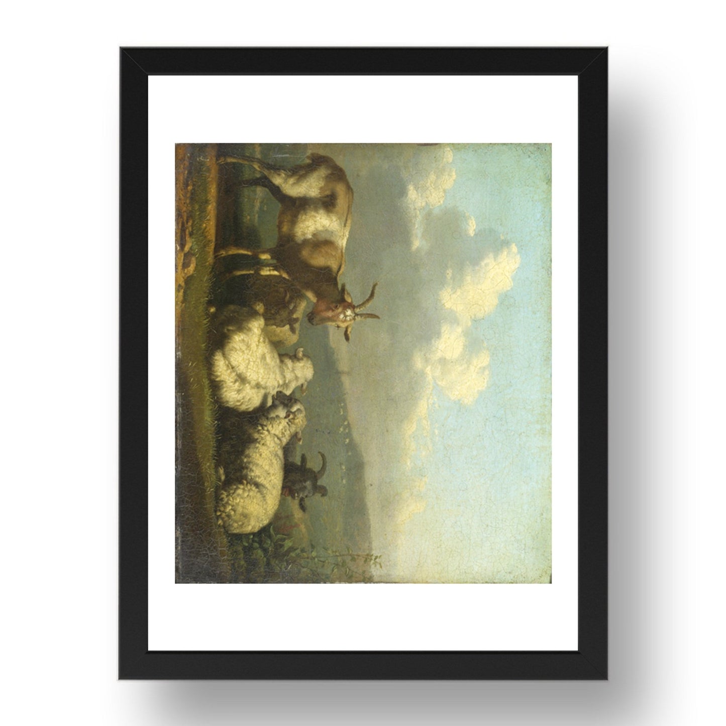 Karel Dujardin: Sheep and Goats, Poster in 17x13"(A3) Frame
