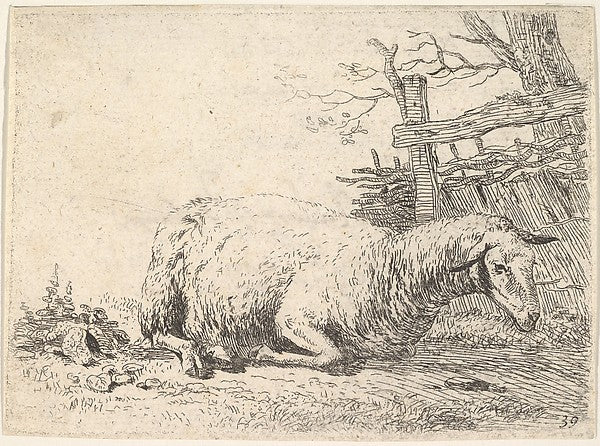Karel Dujardin:A sheep lying with its legs folded underneath its body next to a wooden fence the sheep in profile view c1655, vintage artwork, 16x12"(A3) Poster Print