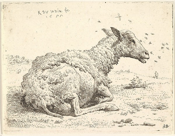 Karel Dujardin:Partially shorn sheep lying in the grass with insects hovering around its head 1655, vintage artwork, 16x12"(A3) Poster Print