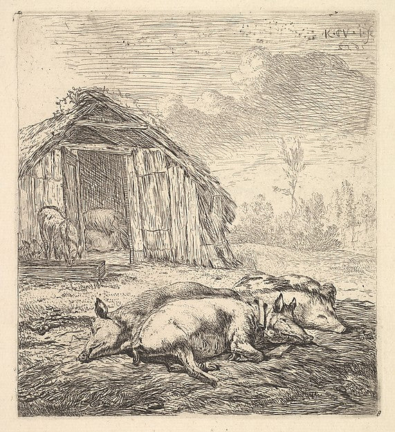 Karel Dujardin:Three pigs lying on their sides a pigsty and trough beyond 1652, vintage artwork, 16x12"(A3) Poster Print