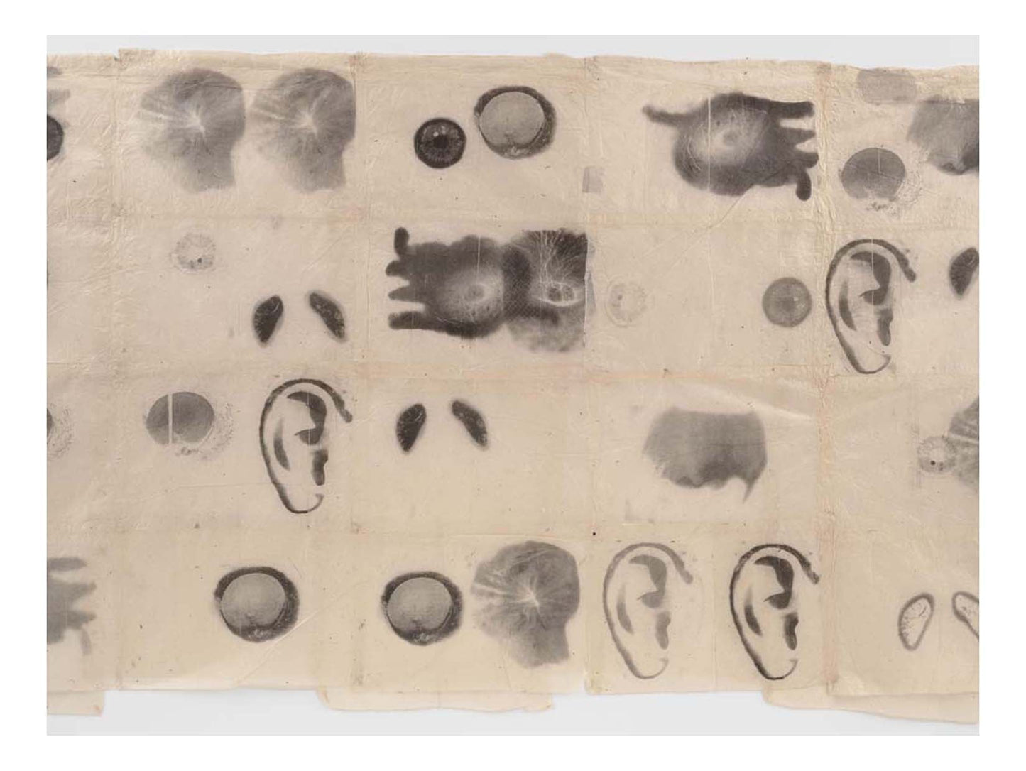 Kiki Smith - A Man, 16x12" (A3) Poster Print