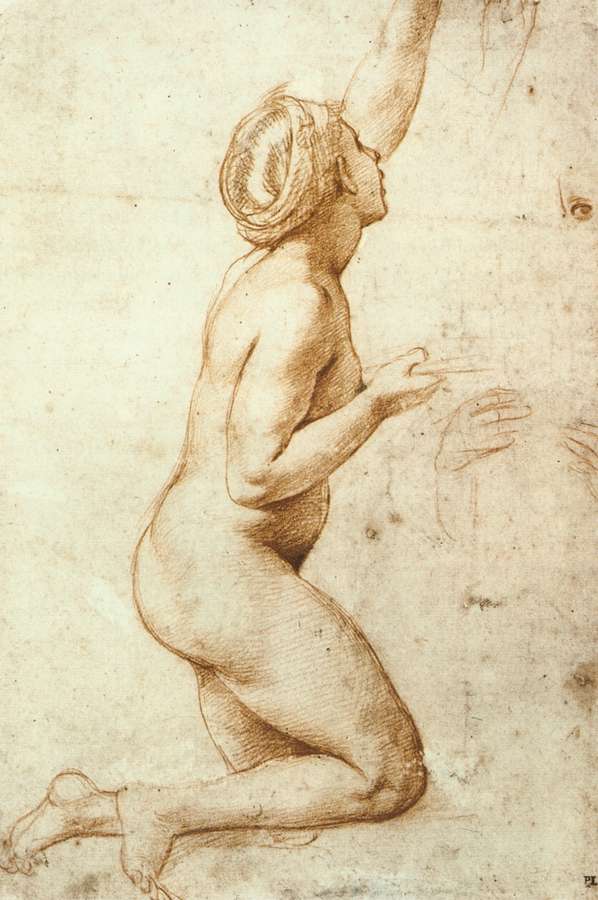 Kneeling Nude Woman, vintage artwork by Raphael, A3 (16x12") Poster Print