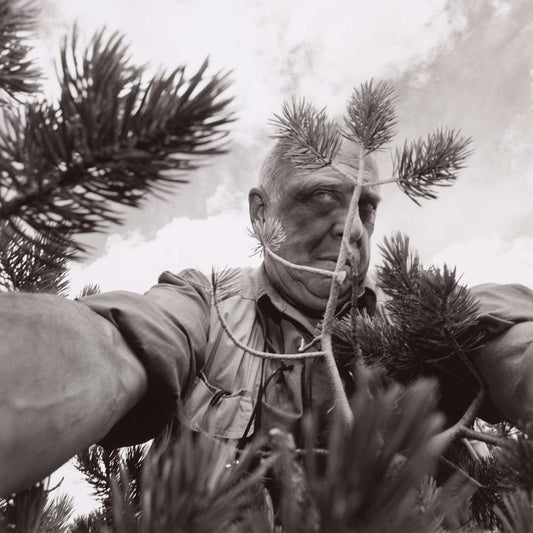 Lee Friedlander - California, vintage historic photograph, modern poster print