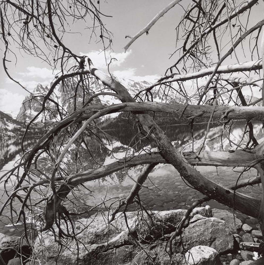 Lee Friedlander - Grand Teton National Park Wyoming, vintage historic photograph, modern poster print