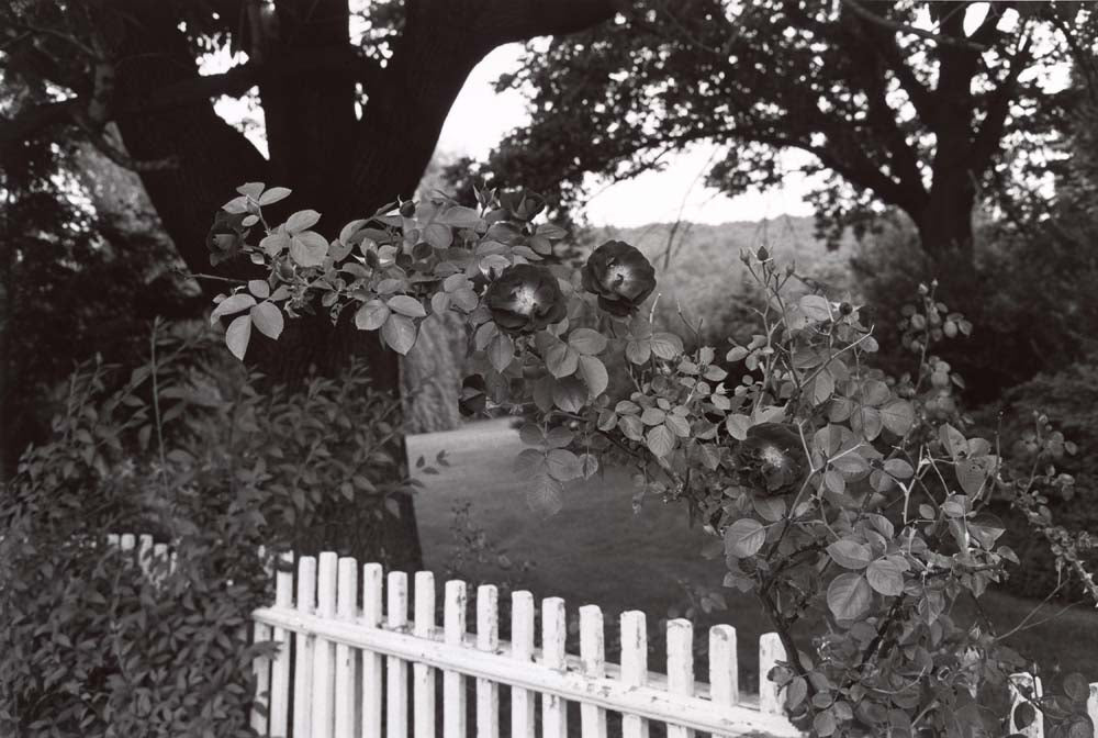 Lee Friedlander - Pomona New York, vintage historic photograph, modern poster print