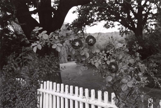 Lee Friedlander - Pomona New York, vintage historic photograph, modern poster print