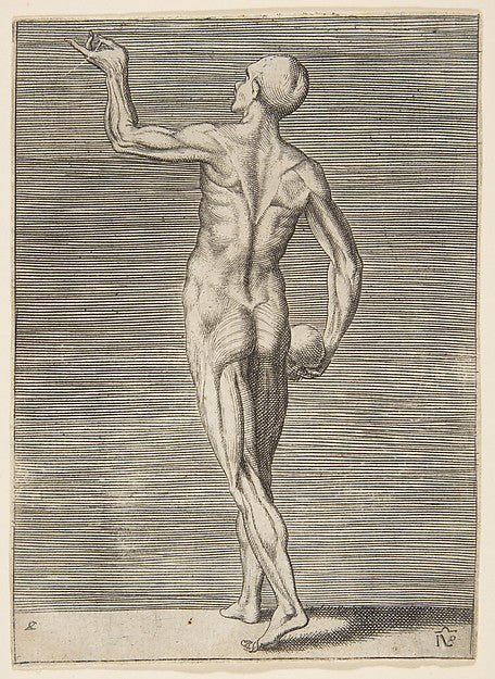 Man seen from the Back holding a Skull in his right Hand 16th, vintage art, A3 (16x12") Poster Print