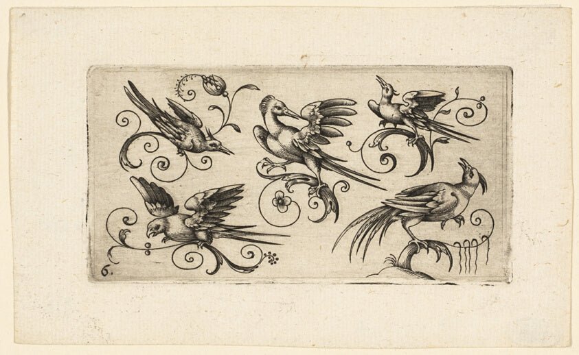Ornament Panels with Birds by Plate 6 by Adrian Muntink, 23x16"( A2 size) Poster Print
