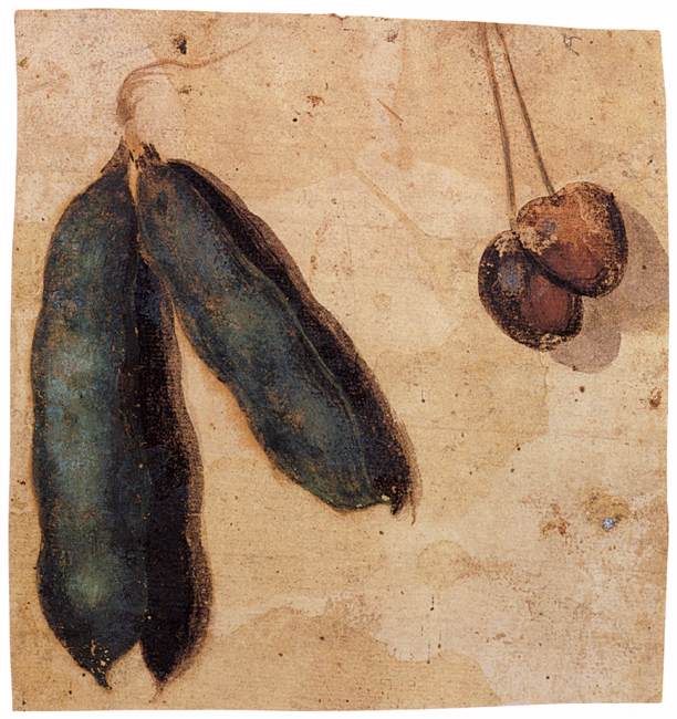 Peapods and Cherries, vintage artwork by Simone Peterzano, A3 (16x12") Poster Print