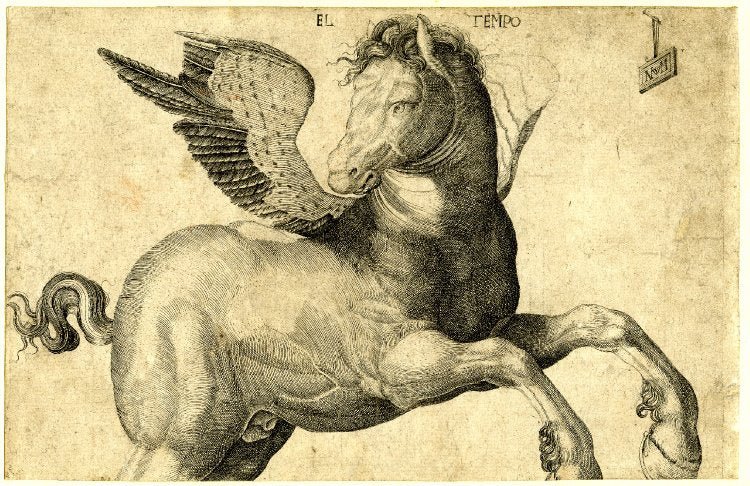 Pegasus, vintage artwork by Jacopo de' Barbari, A3 (16x12") Poster Print
