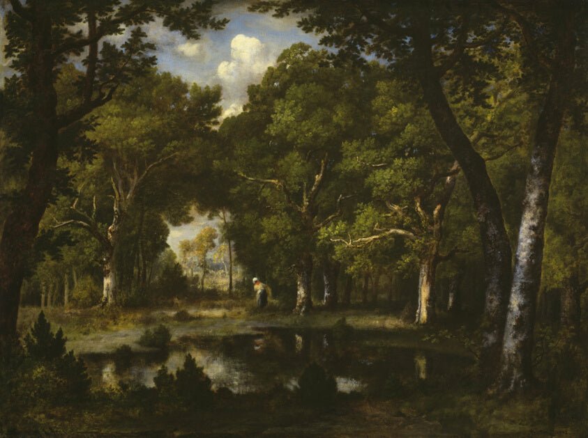 Pond in the Woods by Narcisse Virgile Diaz de la Peña, 23x16"( A2 size) Poster Print