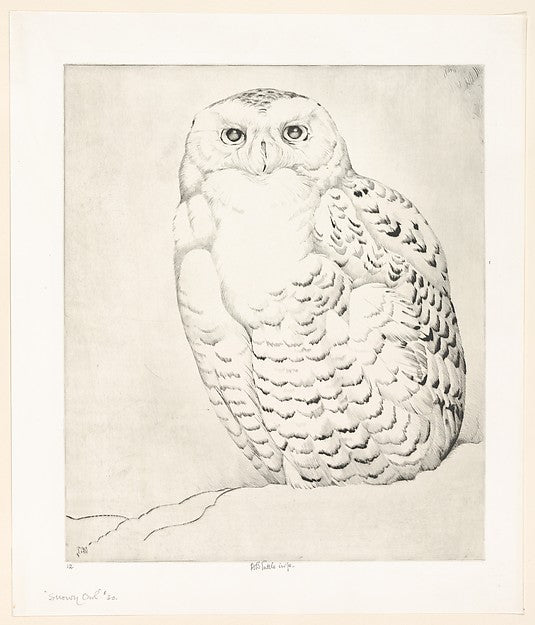 Snowy Owl 1926-Henry Emerson Tuttle , vintage art, A3 (16x12") Poster Print