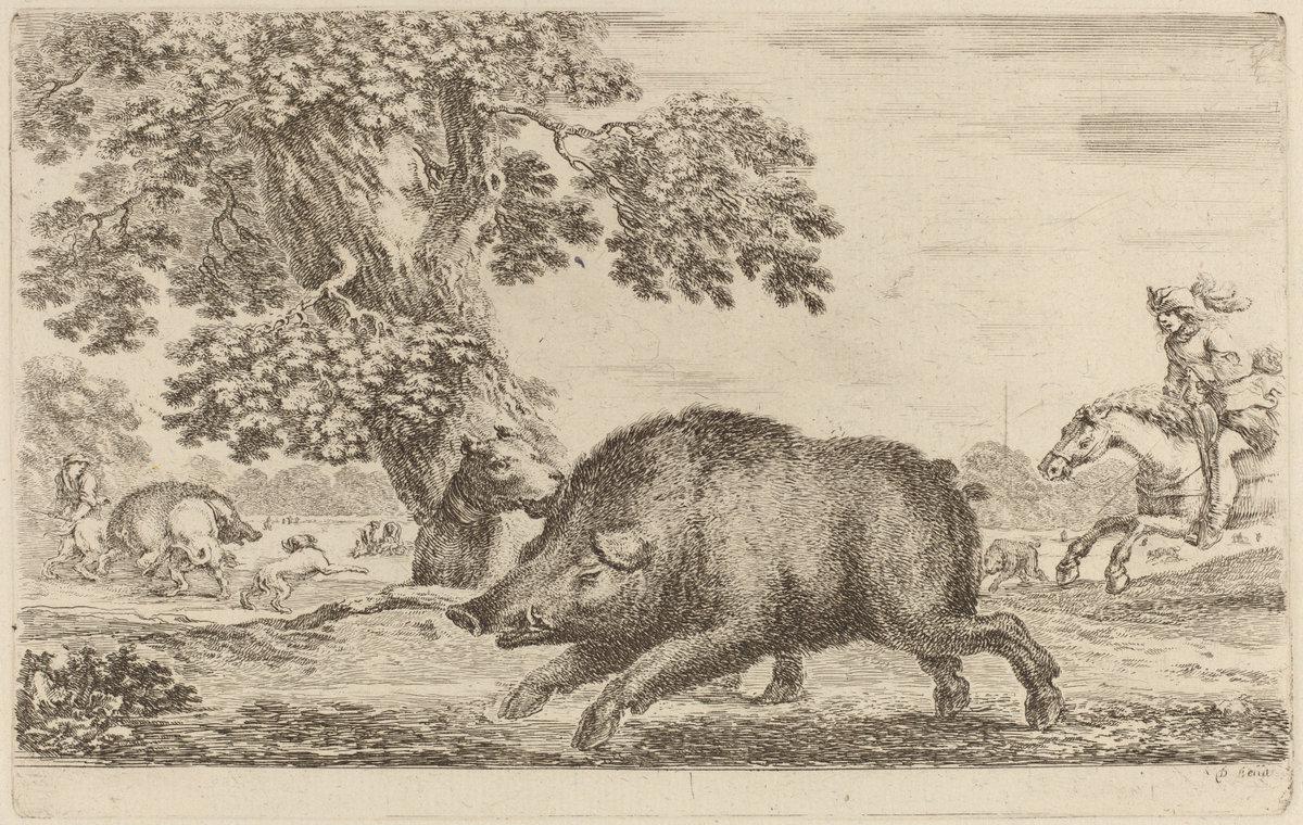 Stefano Della Bella:Boar Running to the Left,16x12"(A3) Poster