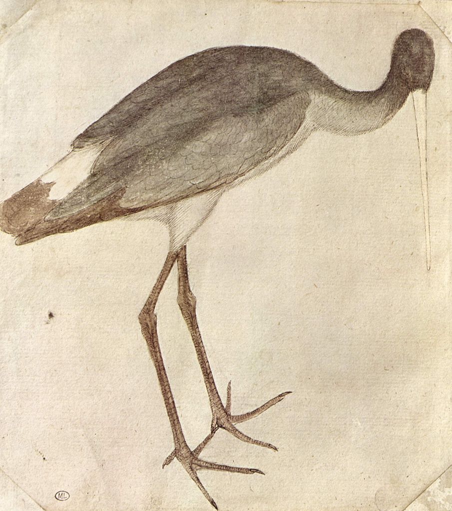Stork, vintage artwork by Pisanello, A3 (16x12") Poster Print