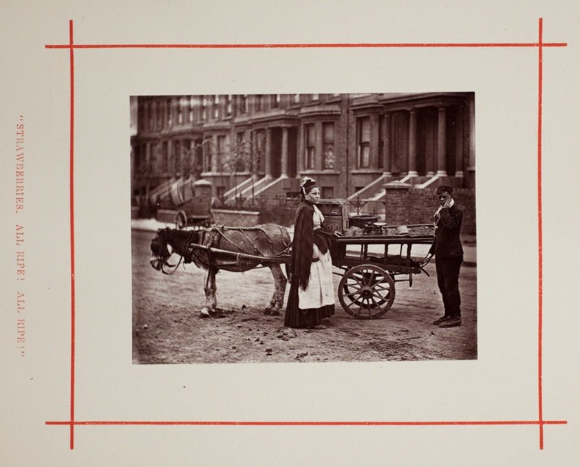 Strawberries. All ripe! All ripe! by John Thomson,23x16"( A2 size ) Poster Print