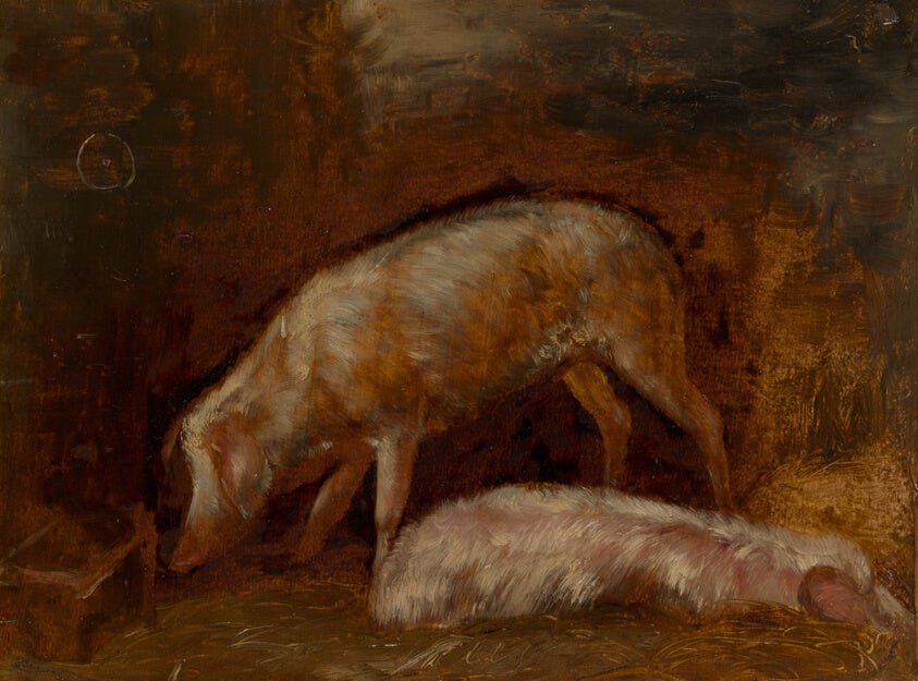 Study of Pigs by Alexandre Gabriel Decamps, 23x16"( A2 size) Poster Print