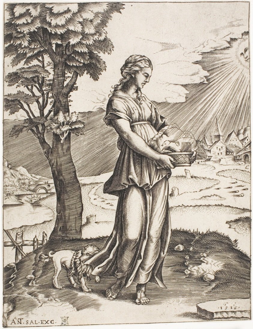 The Cumaean Sybil by Agostino dei Musi (Italian, c. 1490-after 1536), 23x16"( A2 size) Poster Print