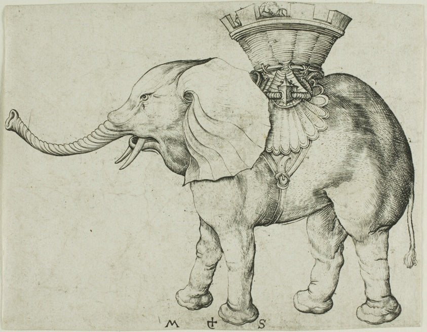 The Elephant by Martin Schongauer, 23x16"( A2 size ) Poster Print