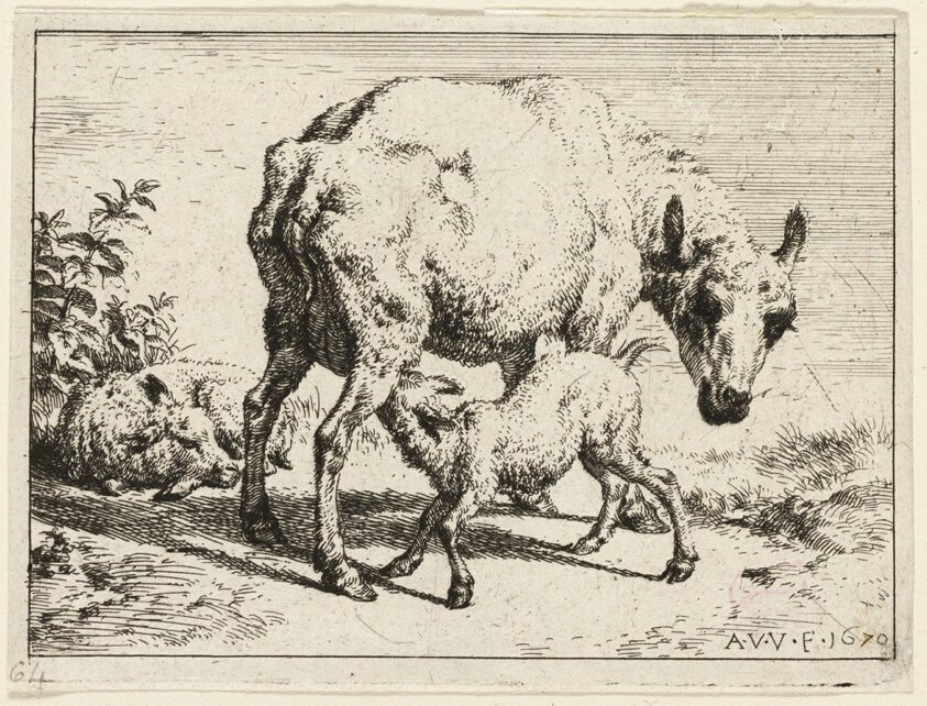The Lamb by Adriaen van de Velde, 23x16"( A2 size) Poster Print